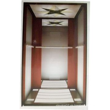 Fjzy-High Quality and Safety Home Lift Fjs-1601